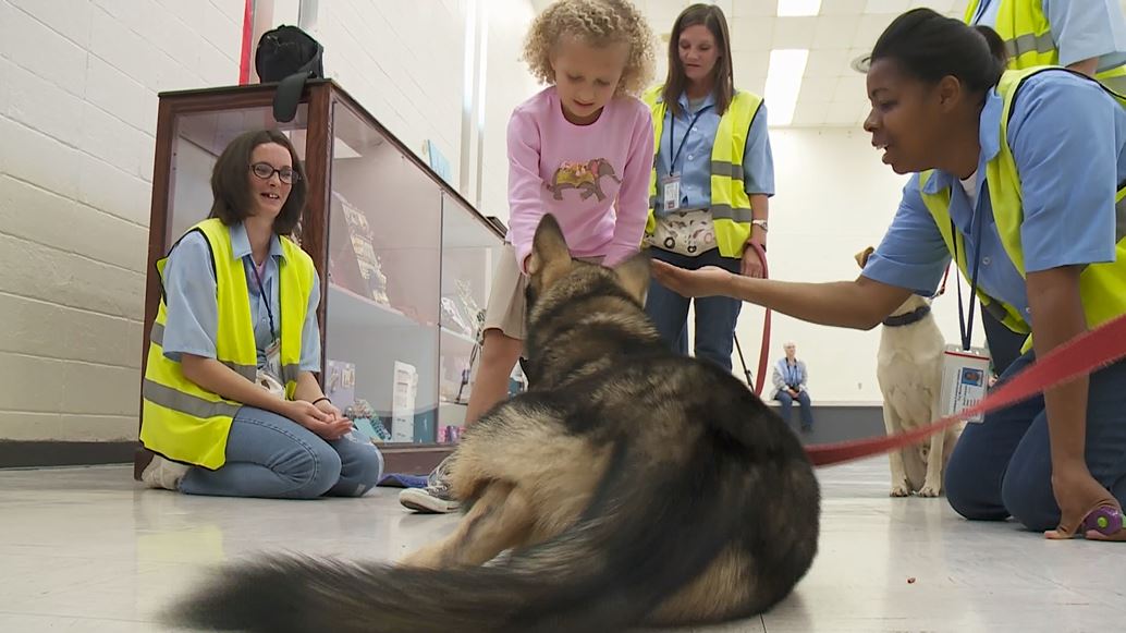 Inmates train homeless pups to be service dogs