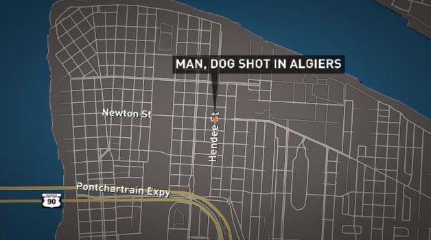 Man and his dog shot in Algiers | wwltv.com
