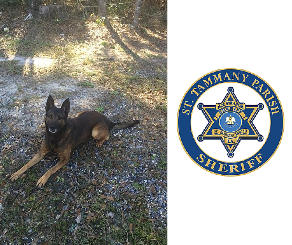 St. Tammany Parish Sheriff's Office K9 Pindal to get body armor