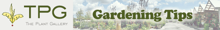 Gardening