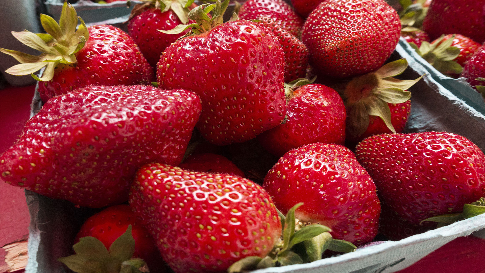Traffic advisories issued for Ponchatoula Strawberry Festival