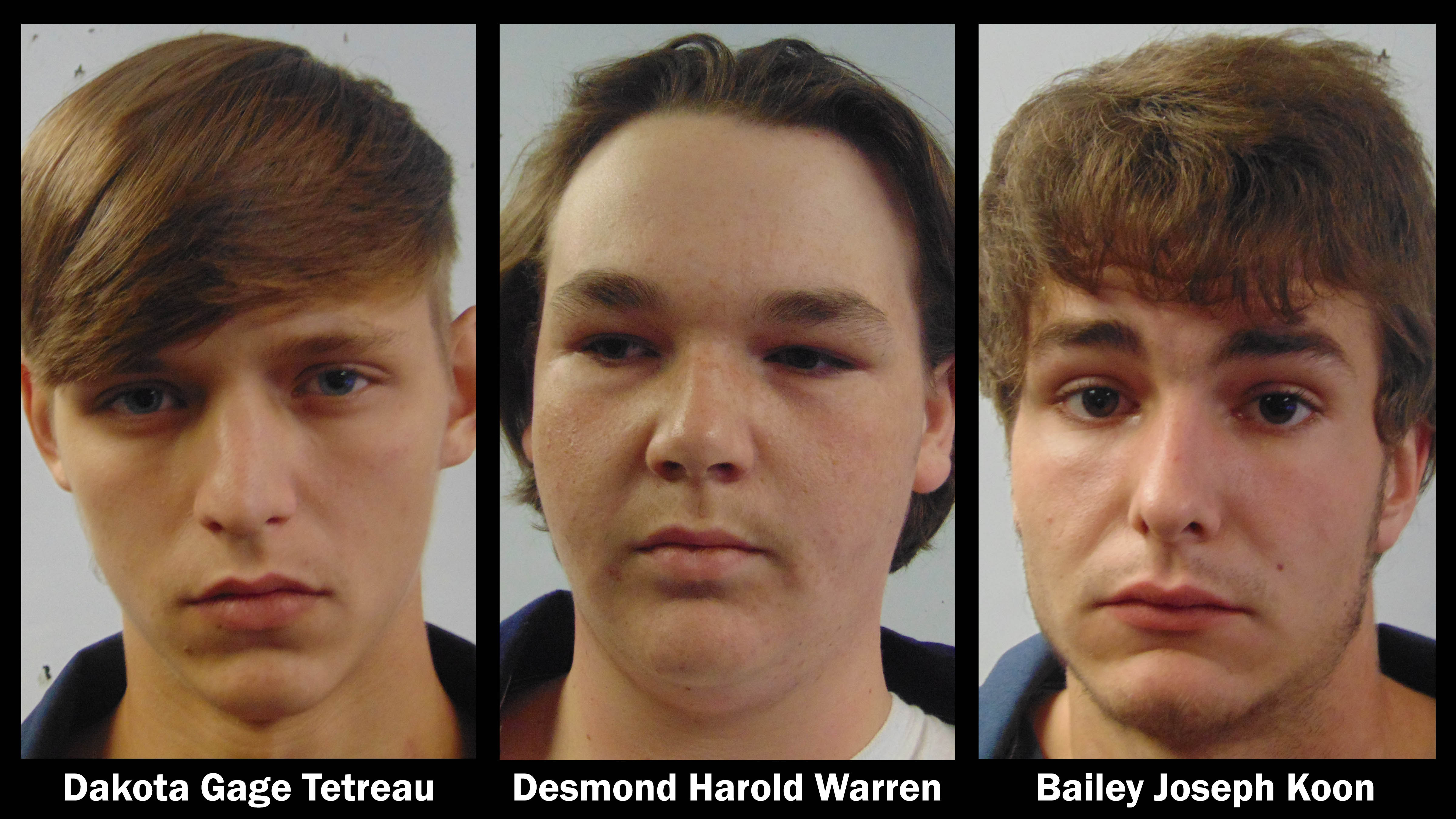 Three suspects arrested in Mt. Hermon drive-by shooting | wwltv.com