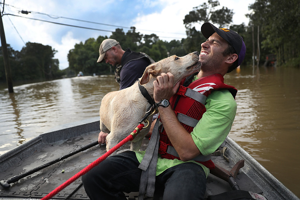 Folsom animal foundation still helping flood animals | wwltv.com